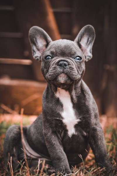 Zeigt eure Portraits-Beitrag-Bild