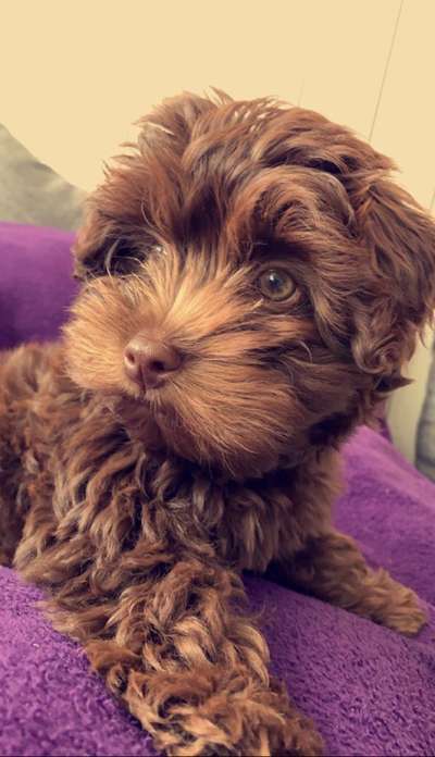 Lieblingsbild-Beitrag-Bild