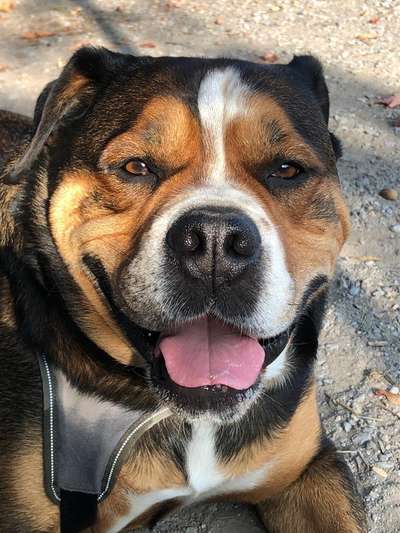 Lieblingsbild :D-Beitrag-Bild