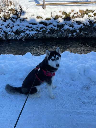 Lieblings Fotos-Beitrag-Bild