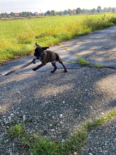 Erstes Bild-Beitrag-Bild