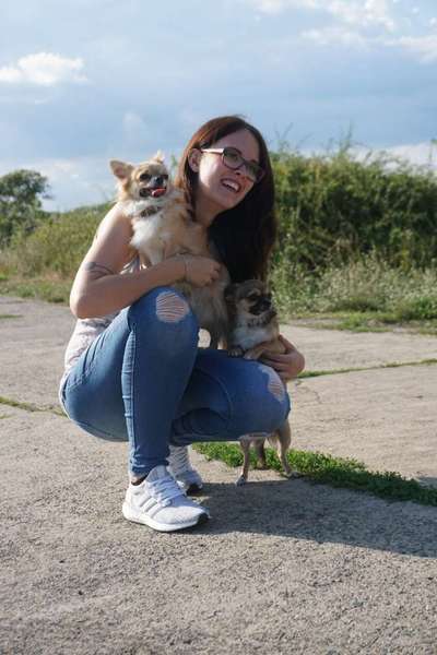 Hundetreffen-Spielkameraden gesucht-Bild