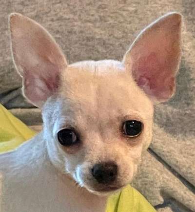 Fotochallange Nr. 57     PORTRÄT.   Beendet!!!!!!!!-Beitrag-Bild