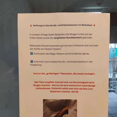 Giftköder-Möglicher Giftköder-Bild