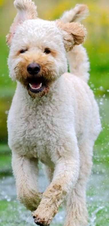 Suchmeldung-Mandy-Bild