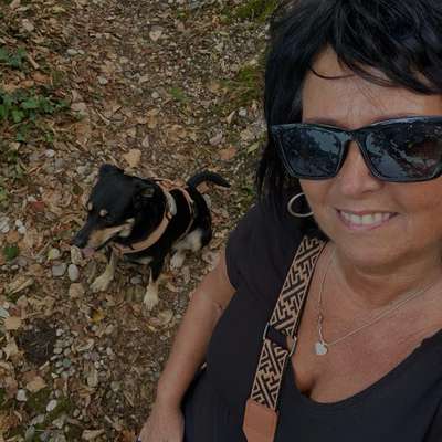 Hundetreffen-Sonntag Morgen Spaziergang 🐾🐕 Umkreis Rheinfelden-Bild