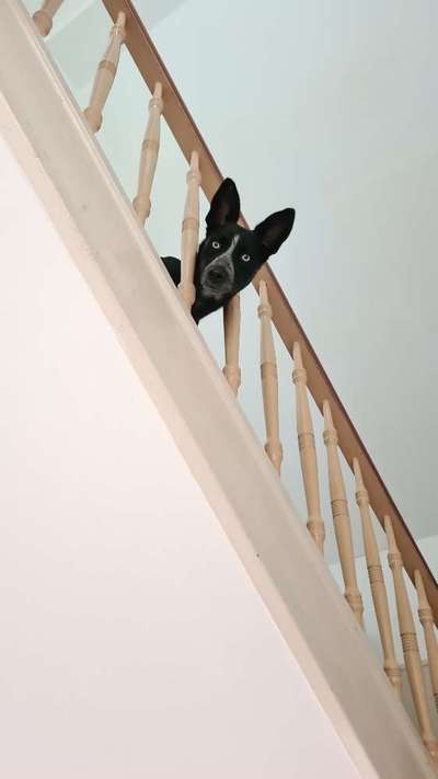 Fotochallange Nr. 57     PORTRÄT.   Beendet!!!!!!!!-Beitrag-Bild