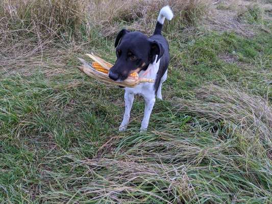 Fotochallenge Nr. 64-Beitrag-Bild