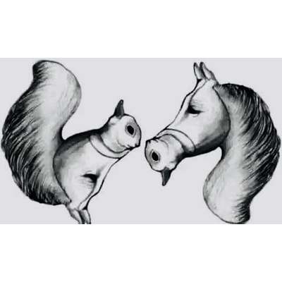 aktuelles Foto Gruppe Rätselfreunde🔍💡🪢