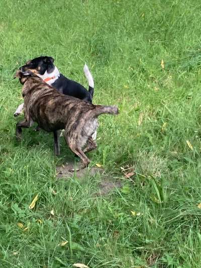 42.Fotochallenge - Eure schönen Momente beim Spaziergang-Beitrag-Bild