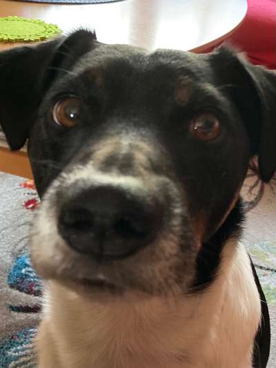 Fotochallange Nr. 57     PORTRÄT.   Beendet!!!!!!!!-Beitrag-Bild