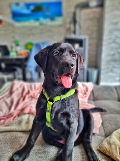 Lieblingsbild-Beitrag-Bild