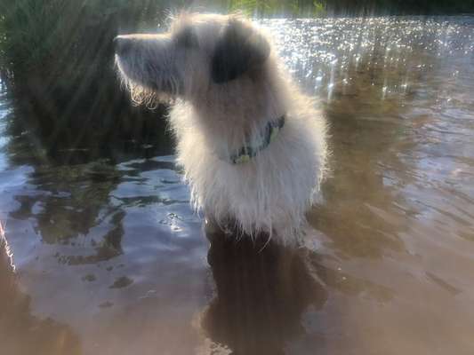 Fotochallenge 27-Beitrag-Bild