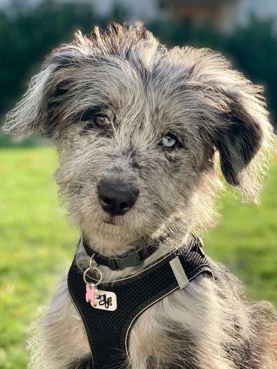 Fotochallange Nr. 57     PORTRÄT.   Beendet!!!!!!!!-Beitrag-Bild