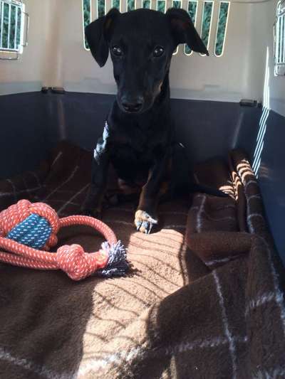 Erstes Bild-Beitrag-Bild