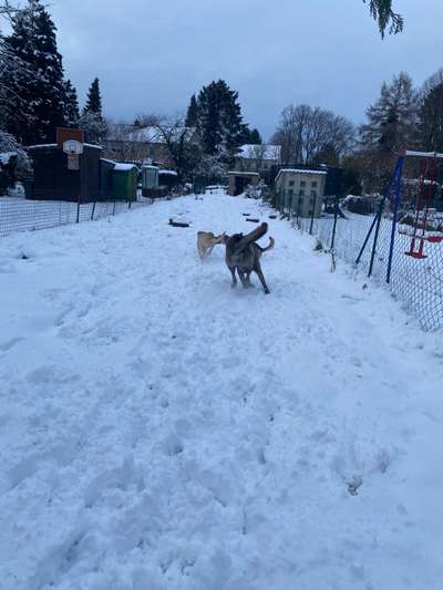 Challenge Nr. 15
Spiel im Schnee-Beitrag-Bild