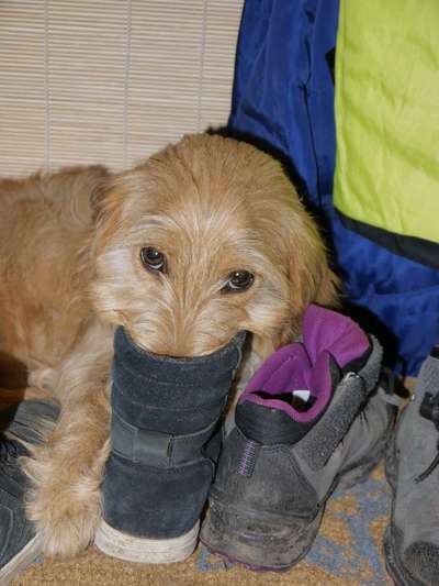 143. Fotochallenge: Ja, wo isser denn?-Beitrag-Bild