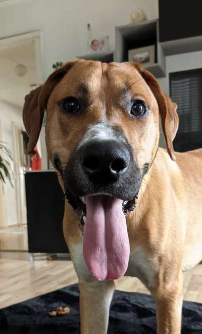 Fotochallange Nr. 57     PORTRÄT.   Beendet!!!!!!!!-Beitrag-Bild