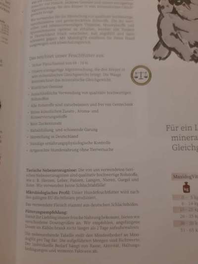 Ist mein Hundefutter gut?-Beitrag-Bild