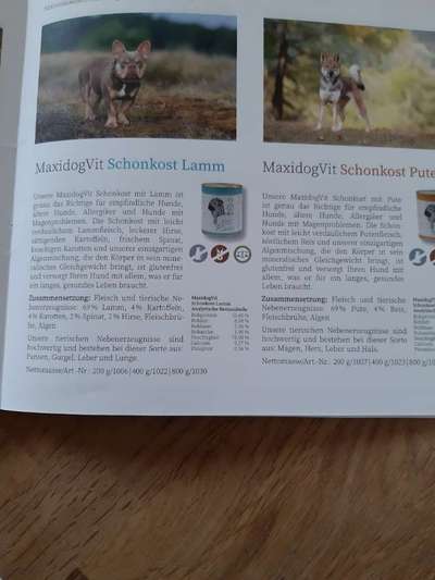 Ist mein Hundefutter gut?-Beitrag-Bild