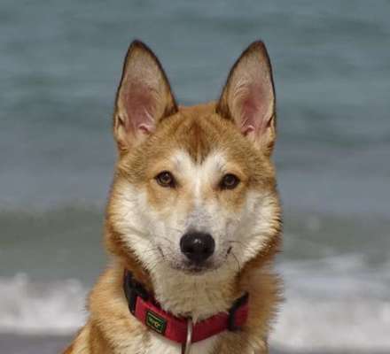 Fotochallange Nr. 57     PORTRÄT.   Beendet!!!!!!!!-Beitrag-Bild