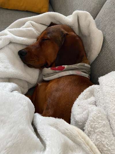 Husten und Würgt, hat jemand Erfahrung?-Beitrag-Bild