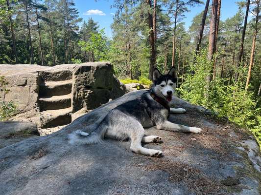 151. Photo Challenge: Sehenswürdigkeiten-Beitrag-Bild