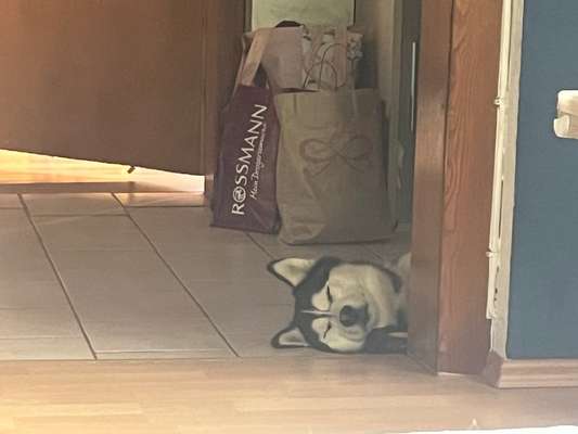 Foto Challenge Nr. 134-Beitrag-Bild