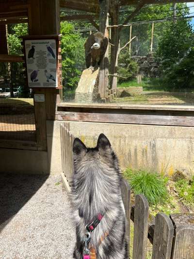 12. Farben Foto Challenge --- Braun-Beitrag-Bild