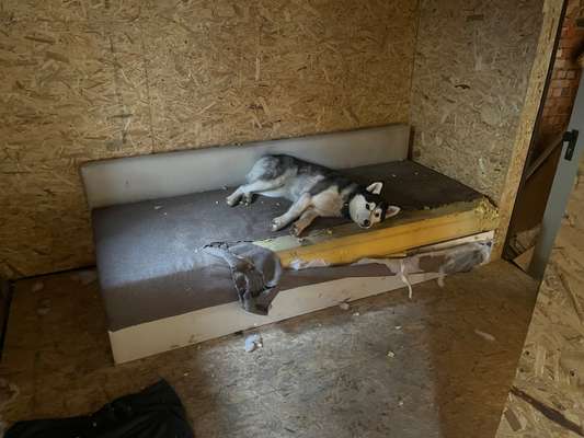 Chaos in der Bude-Beitrag-Bild