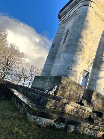 Dogorama Photo Challenge - Türme-Beitrag-Bild