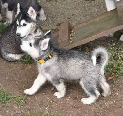 Handy-Foto Challange Nr. 10-Beitrag-Bild