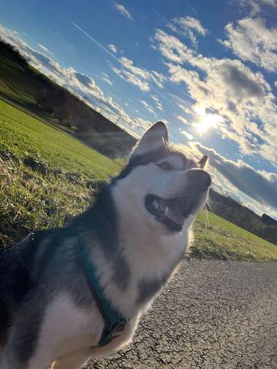 Lieblings Fotos-Beitrag-Bild