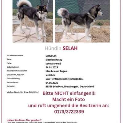 Suchmeldung-Selah-Bild