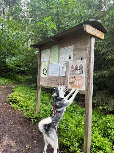 146. Foto Challenge: Maulaufreisser-Beitrag-Bild