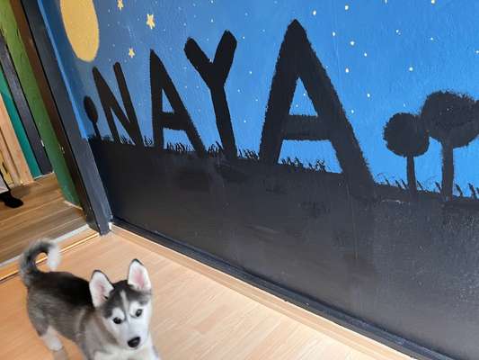 Fotochallenge Nr.105  Glücksmomente-Beitrag-Bild