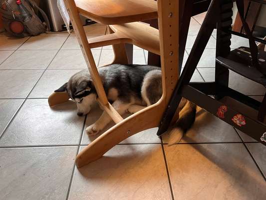 Foto Challenge 112 
ungewöhnliche Schlafplätze-Beitrag-Bild