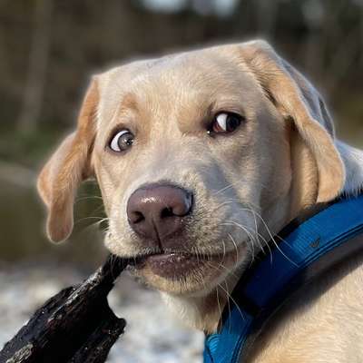 Fotochallange Nr. 57     PORTRÄT.   Beendet!!!!!!!!-Beitrag-Bild