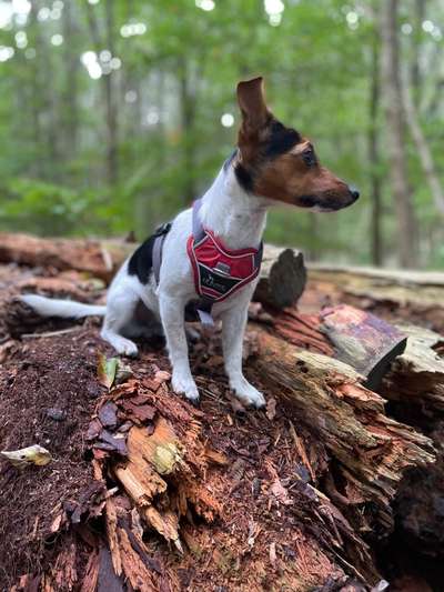 Foto-Challange No.1 - Alles aber nicht die Kamera-Beitrag-Bild