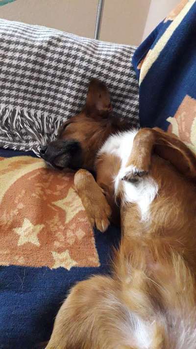 Die unbequemsten und lustigsten Schlafpositionen-Beitrag-Bild