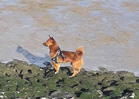 Eure Strandbilder :)-Beitrag-Bild