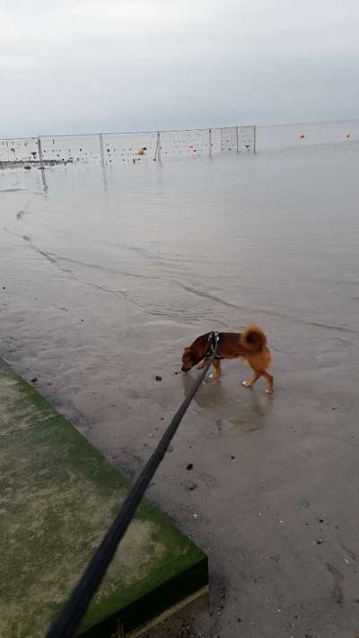 Eure Strandbilder :)-Beitrag-Bild