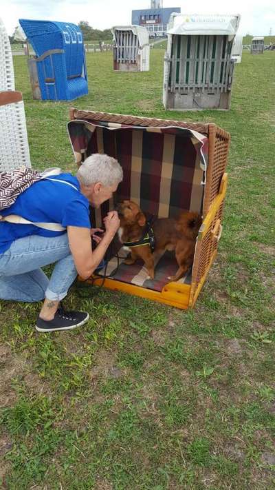 Eure Strandbilder :)-Beitrag-Bild