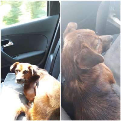 Das erste Foto-Beitrag-Bild