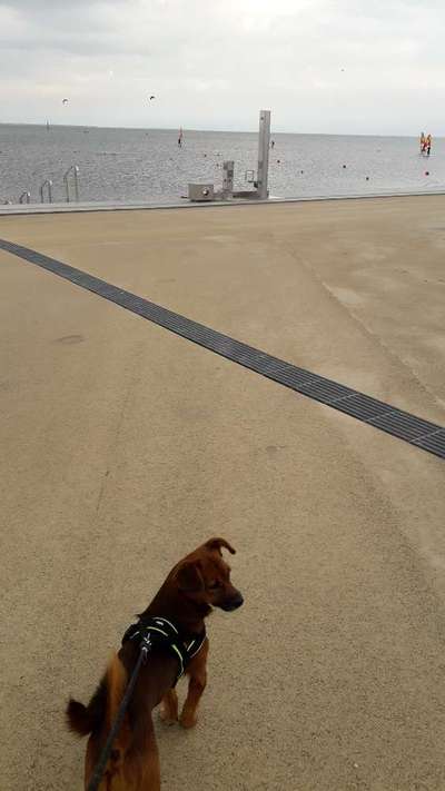 Eure Strandbilder :)-Beitrag-Bild