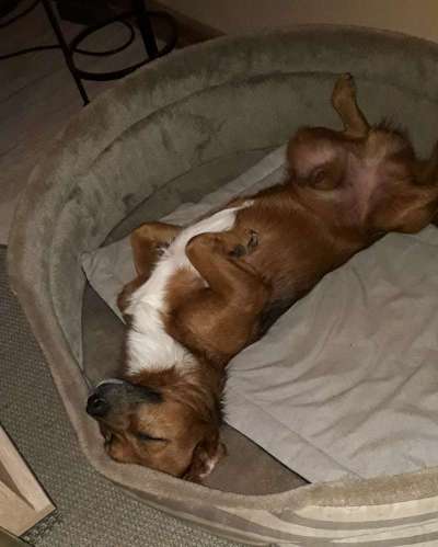 Lieblingsbild :D-Beitrag-Bild