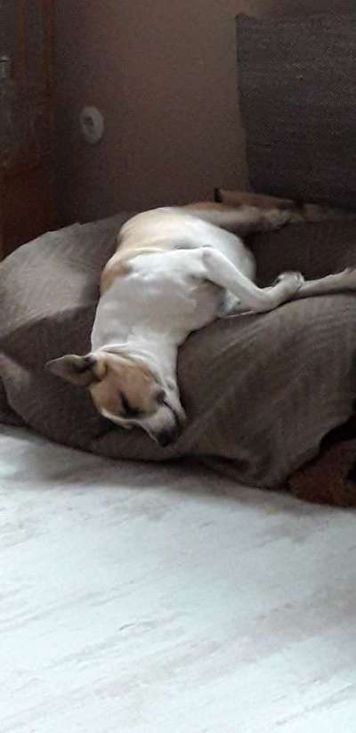 Die unbequemsten und lustigsten Schlafpositionen-Beitrag-Bild