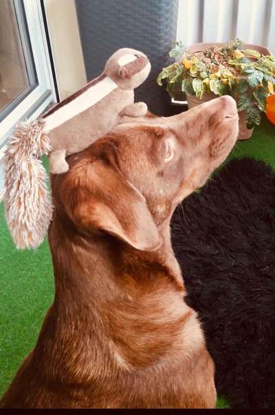 Foto Challenge die Vierte-Beitrag-Bild