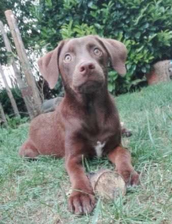 Foto Challenge 3-Beitrag-Bild