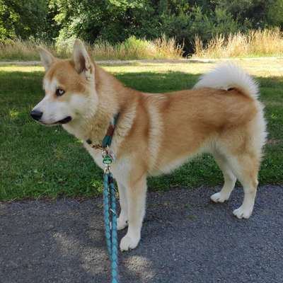 Foto-Challange No.1 - Alles aber nicht die Kamera-Beitrag-Bild